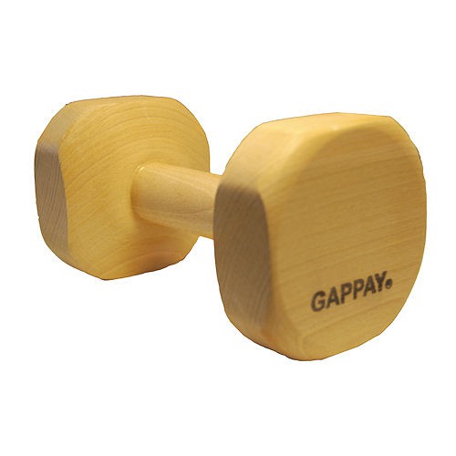 Gappay Apportblok IPO.