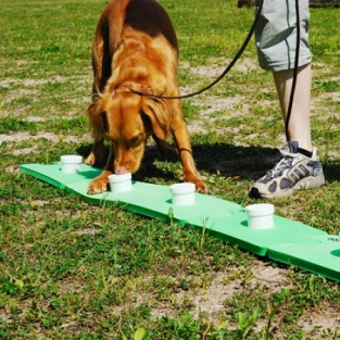 Sniffle Dog Trainingset classic.