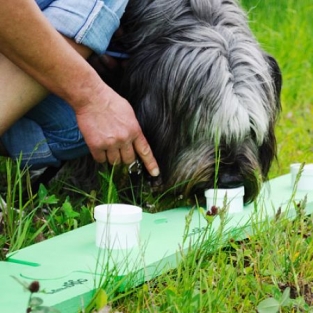 Sniffle Dog Trainingset classic.